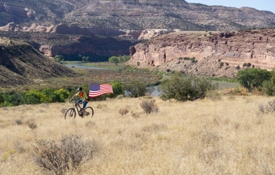 11 Ways to Celebrate Fourth of July, Pandemic Style